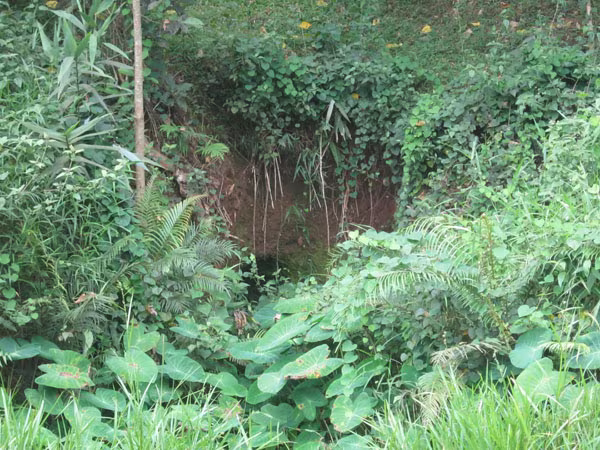 Bí ẩn những hòn đá giữa đại ngàn Trường Sơn ảnh 2