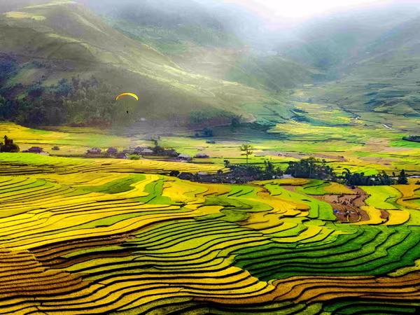 Cái nhìn rất già của các tay máy trẻ ảnh 1 Cái nhìn rất già của các tay máy trẻ ảnh 1