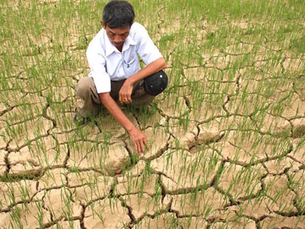 El Nino 2015-2016 kéo dài kỷ lục: Thời tiết phức tạp về cuối năm ảnh 2 El Nino 2015-2016 kéo dài kỷ lục: Thời tiết phức tạp về cuối năm ảnh 2