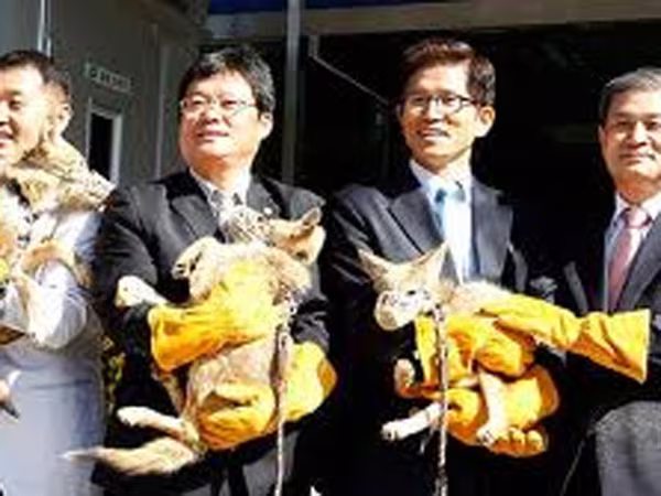 Tham vọng hồi sinh voi ma mút ảnh 1 Tham vọng hồi sinh voi ma mút ảnh 1