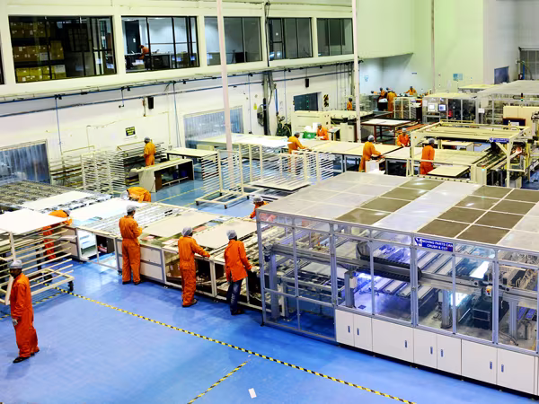 Giấc mơ "voi hóa rồng" ảnh 1