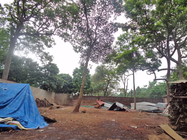 Đã di dời xưởng cưa ra khỏi chùa Trăm Gian ảnh 1