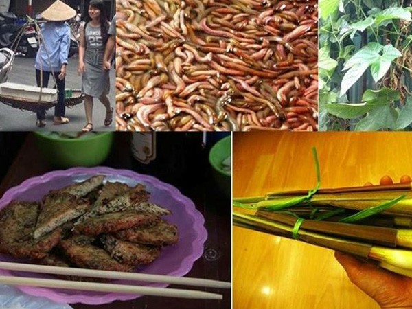 Thưởng thức chả rươi thơm ngon đúng điệu ảnh 1 Thưởng thức chả rươi thơm ngon đúng điệu ảnh 1