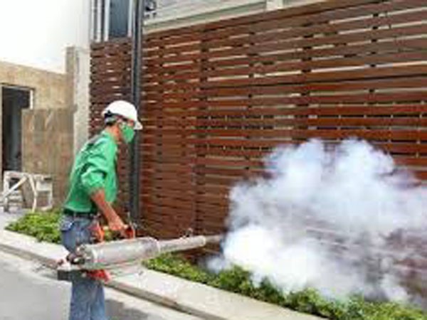 Lo ngại muỗi gây bệnh sốt xuất huyết kháng thuốc ảnh 1 Lo ngại muỗi gây bệnh sốt xuất huyết kháng thuốc ảnh 1