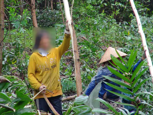 Tìm việc làm, hai thiếu nữ bị lừa bán vào "động quỷ" ảnh 1