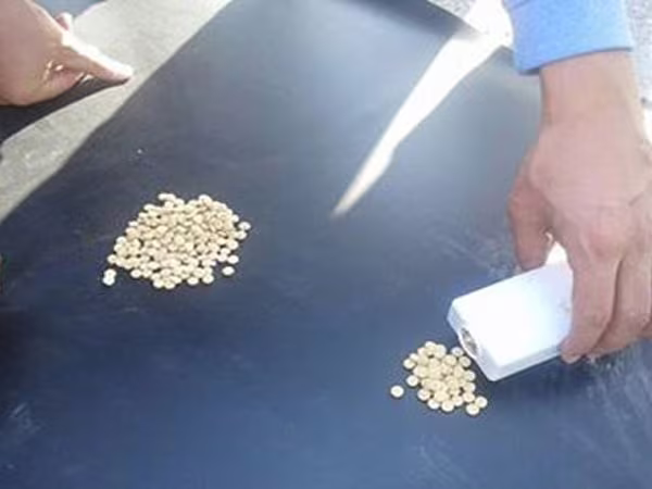 "Thần dược" nguy hiểm của chiến binh Syria ảnh 1