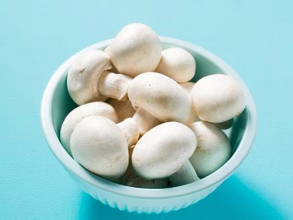 Nấm ngăn ngừa ung thư da ảnh 1 Nấm ngăn ngừa ung thư da ảnh 1