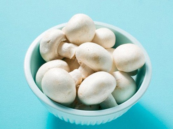 Nấm ngăn ngừa ung thư da ảnh 1 Nấm ngăn ngừa ung thư da ảnh 1