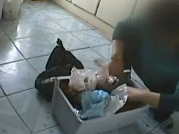 Sự thật kinh hoàng về "thuốc thịt người" xuất xứ từ Trung Quốc ảnh 1 Sự thật kinh hoàng về "thuốc thịt người" xuất xứ từ Trung Quốc ảnh 1