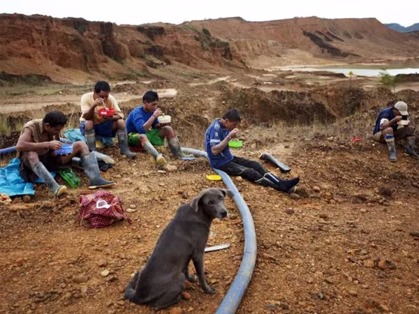 Khai thác vàng trái phép ở Peru: Lời hơn cả buôn cocaine ảnh 2 Khai thác vàng trái phép ở Peru: Lời hơn cả buôn cocaine ảnh 2