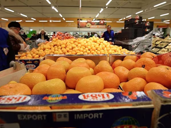 Thổ Nhĩ Kỳ dọa kiện Nga lên WTO ảnh 1 Thổ Nhĩ Kỳ dọa kiện Nga lên WTO ảnh 1