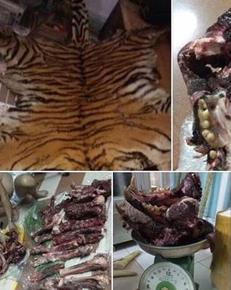 Nguy cơ vào tù vì khoe "chiến tích" giết khỉ, nấu cao hổ ảnh 1