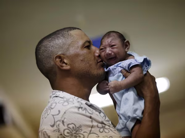 Cảnh báo virus Zika lây lan nhanh chóng ở châu Mỹ ảnh 1 Cảnh báo virus Zika lây lan nhanh chóng ở châu Mỹ ảnh 1