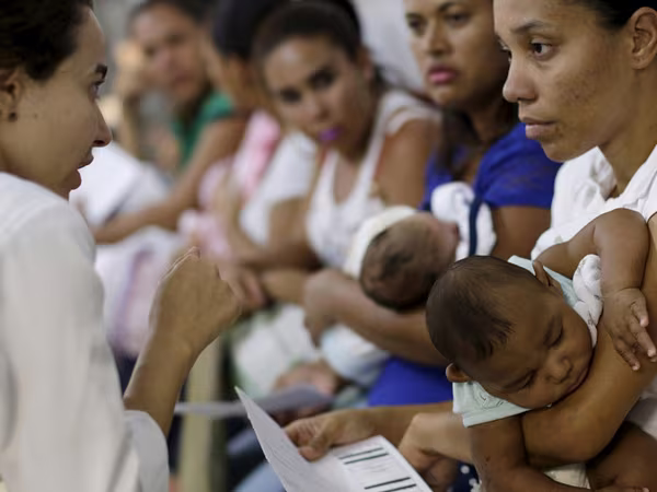 WHO cân nhắc ban bố cảnh báo toàn cầu với virus Zika ảnh 1