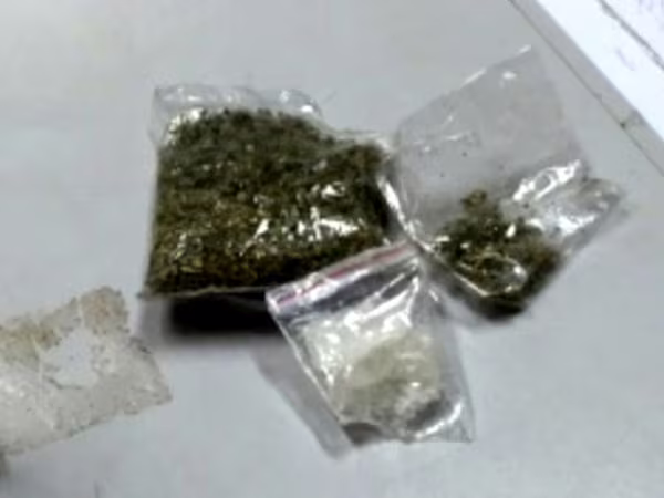 Xử lý nghiêm đối tượng mua bán, tàng trữ "cỏ Mỹ" ảnh 2