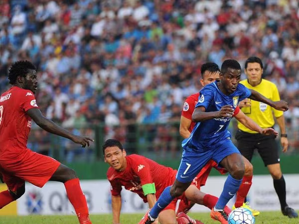 "Vòi bạch tuộc" bí ẩn ảnh 1