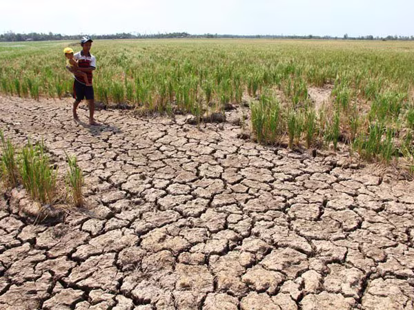 Khát khô vì đập thủy điện  ảnh 1 Khát khô vì đập thủy điện  ảnh 1