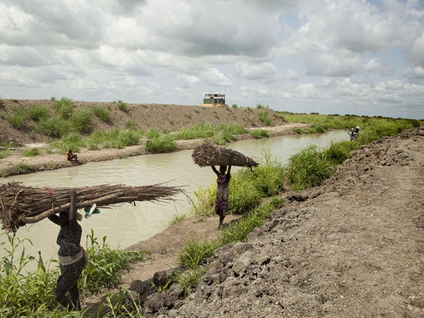 Sự thật khó tin về cuộc nội chiến ở Nam Sudan ảnh 2 Sự thật khó tin về cuộc nội chiến ở Nam Sudan ảnh 2