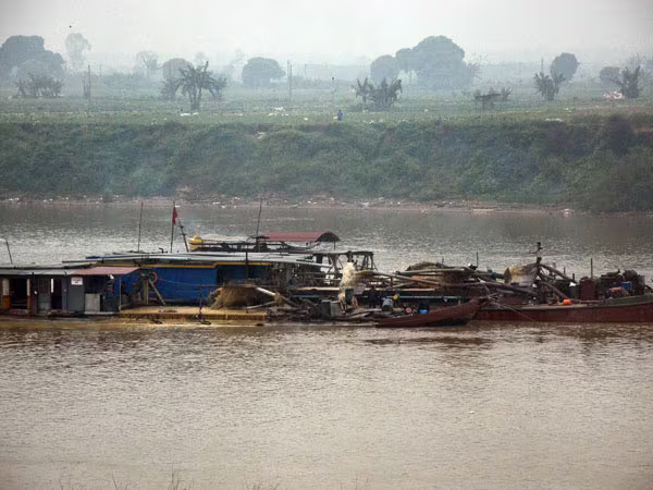 Phải xử lý nghiêm cán bộ dung túng, bao che "cát tặc"  ảnh 1