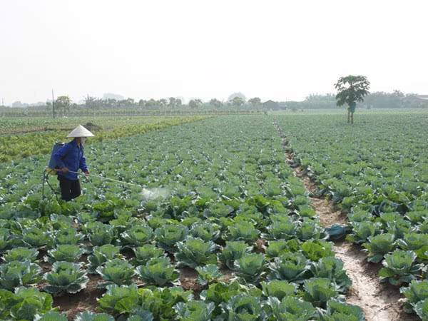 Quy định mới có hiệu lực từ tháng 6-2016 ảnh 1