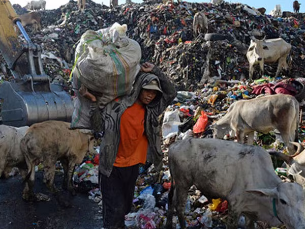 Trả nợ ngân hàng bằng rác ảnh 2