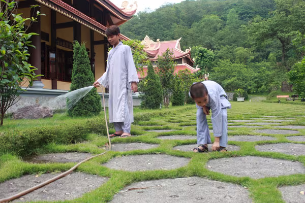 Dưỡng tính thiện trong mùa hè tu tập ảnh 4 Dưỡng tính thiện trong mùa hè tu tập ảnh 4