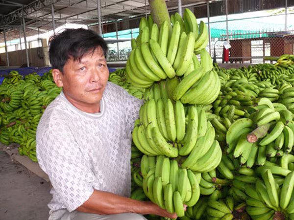 Cầu nối đưa nông sản Việt Nam "xuất ngoại" ảnh 1 Cầu nối đưa nông sản Việt Nam "xuất ngoại" ảnh 1