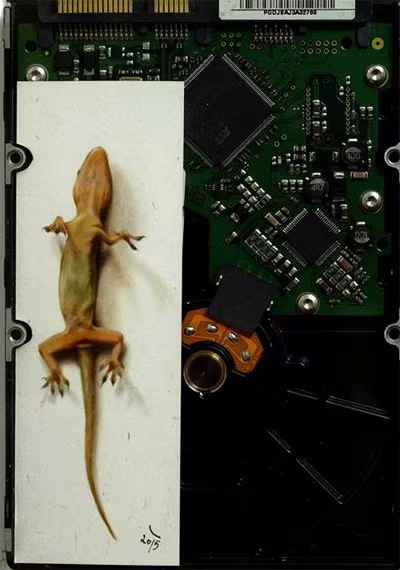 Họa sỹ trẻ Nguyễn Đình Hoàng Việt: Tay vẽ có hạng về động vật ảnh 2 Họa sỹ trẻ Nguyễn Đình Hoàng Việt: Tay vẽ có hạng về động vật ảnh 2