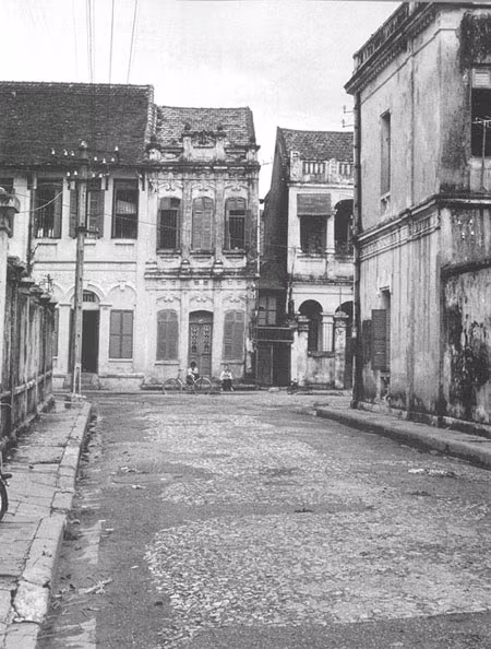 Bạn cùng phố ảnh 1