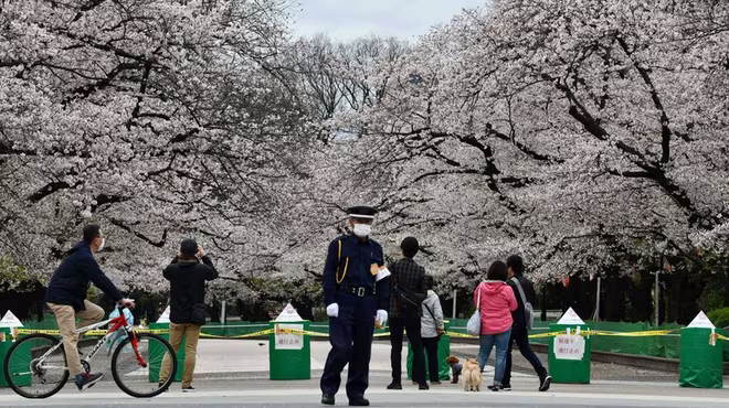 Nhật Bản ban bố tình trạng khẩn cấp toàn quốc ảnh 1 Nhật Bản ban bố tình trạng khẩn cấp toàn quốc ảnh 1