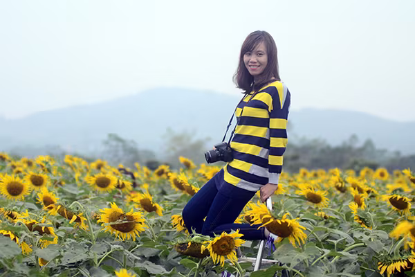 Đắm chìm trong vẻ đẹp của cánh đồng hoa mặt trời Nghệ An ảnh 7 Đắm chìm trong vẻ đẹp của cánh đồng hoa mặt trời Nghệ An ảnh 7
