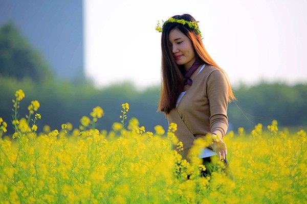 Hoa cải cuối đông rực rỡ ven sông ảnh 4 Hoa cải cuối đông rực rỡ ven sông ảnh 4