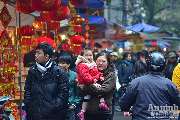 Chợ hoa Hàng Lược vào xuân ảnh 4