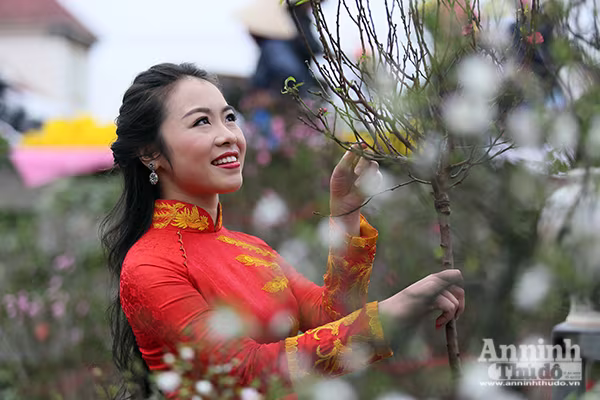 Chợ hoa Hàng Lược vào xuân ảnh 3 Chợ hoa Hàng Lược vào xuân ảnh 3