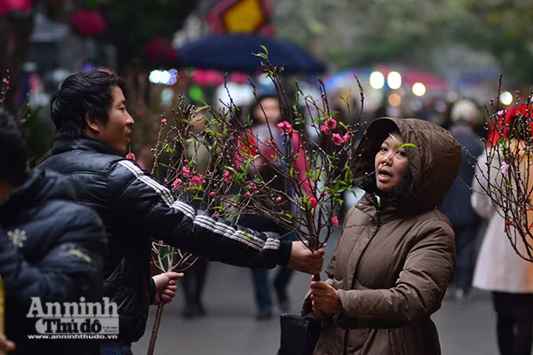 Chợ hoa Hàng Lược vào xuân ảnh 5