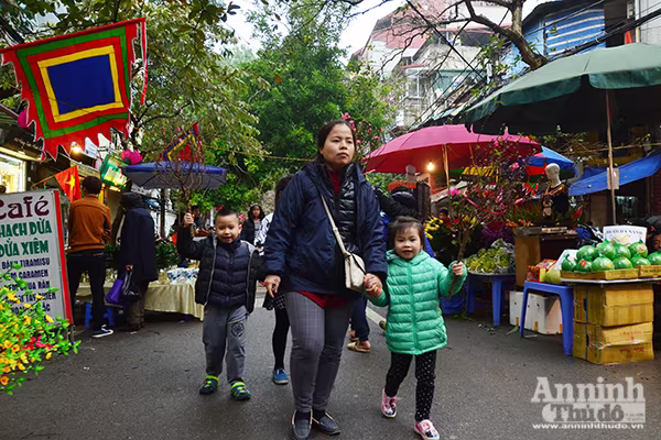 Chợ hoa Hàng Lược vào xuân ảnh 7