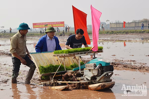 Lãnh đạo TP Hà Nội xuống đồng khai mở vụ xuân ảnh 5 Lãnh đạo TP Hà Nội xuống đồng khai mở vụ xuân ảnh 5