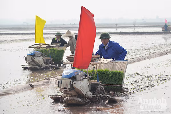 Lãnh đạo TP Hà Nội xuống đồng khai mở vụ xuân ảnh 3 Lãnh đạo TP Hà Nội xuống đồng khai mở vụ xuân ảnh 3