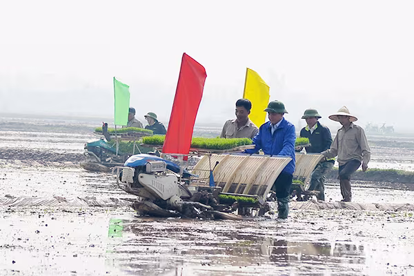 Lãnh đạo TP Hà Nội xuống đồng khai mở vụ xuân ảnh 6 Lãnh đạo TP Hà Nội xuống đồng khai mở vụ xuân ảnh 6