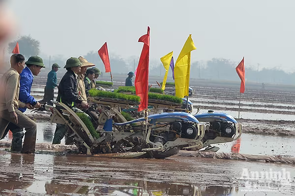 Lãnh đạo TP Hà Nội xuống đồng khai mở vụ xuân ảnh 4 Lãnh đạo TP Hà Nội xuống đồng khai mở vụ xuân ảnh 4