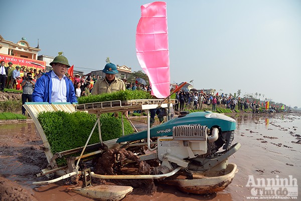 Lãnh đạo TP Hà Nội xuống đồng khai mở vụ xuân ảnh 2 Lãnh đạo TP Hà Nội xuống đồng khai mở vụ xuân ảnh 2