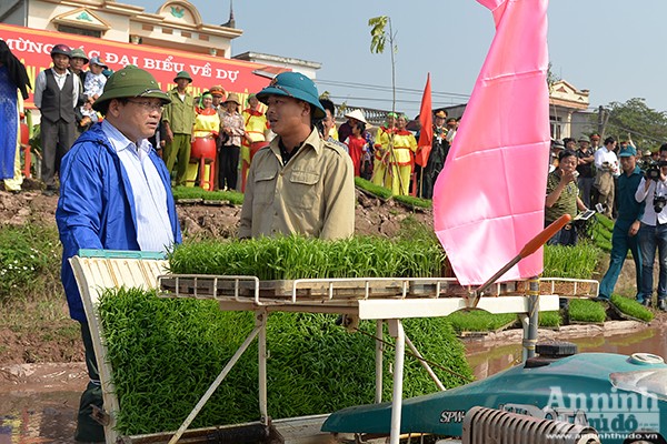 Lãnh đạo TP Hà Nội xuống đồng khai mở vụ xuân ảnh 1 Lãnh đạo TP Hà Nội xuống đồng khai mở vụ xuân ảnh 1