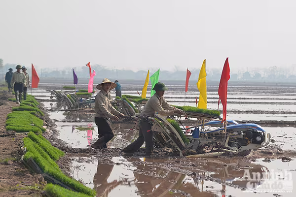 Lãnh đạo TP Hà Nội xuống đồng khai mở vụ xuân ảnh 8 Lãnh đạo TP Hà Nội xuống đồng khai mở vụ xuân ảnh 8