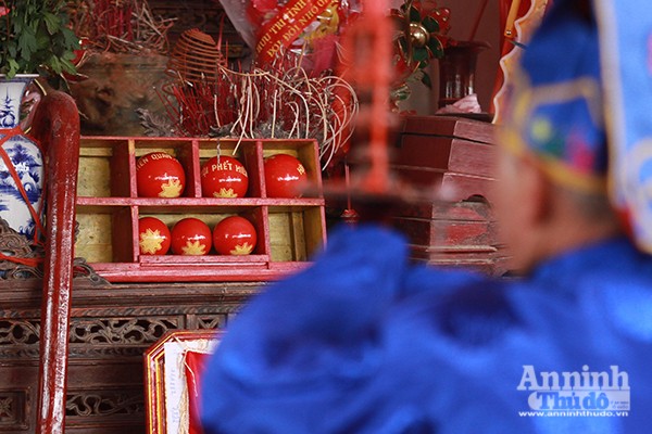 Những hình ảnh bạo lực sởn gai ốc tại hội phết Hiền Quan 2016 ảnh 1 Những hình ảnh bạo lực sởn gai ốc tại hội phết Hiền Quan 2016 ảnh 1