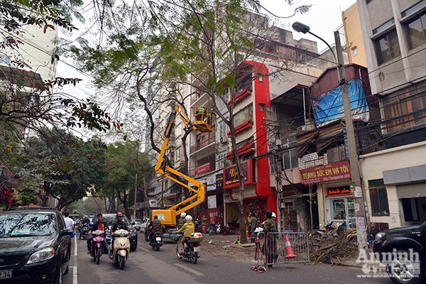 Hà Nội triển khai thiết bị cắt tỉa cây xanh bằng xe tự hành chuyên dụng ảnh 1 Hà Nội triển khai thiết bị cắt tỉa cây xanh bằng xe tự hành chuyên dụng ảnh 1