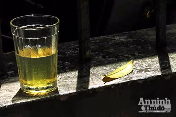 Đẹp ngỡ ngàng những con phố Hà Nội được "nhuộm vàng" ảnh 5 Đẹp ngỡ ngàng những con phố Hà Nội được "nhuộm vàng" ảnh 5