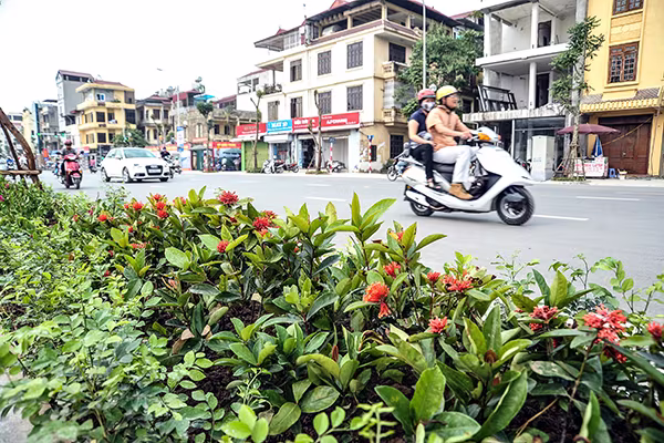 Cận cảnh tuyến đường đô thị kiểu mẫu tại Hà Nội trước ngày khánh thành ảnh 6