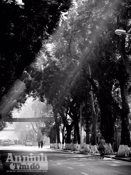 Ngắm mùa thu Hà Nội tuyệt đẹp qua những bức ảnh đen trắng ảnh 5