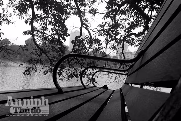 Ngắm mùa thu Hà Nội tuyệt đẹp qua những bức ảnh đen trắng ảnh 3