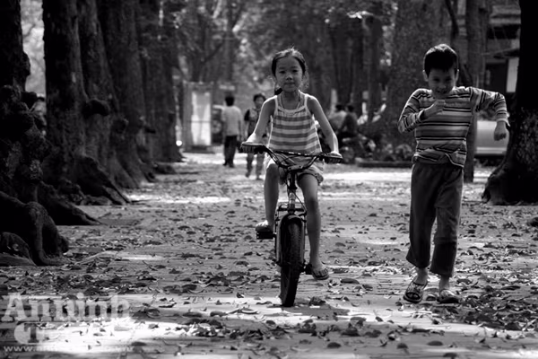 Ngắm mùa thu Hà Nội tuyệt đẹp qua những bức ảnh đen trắng ảnh 4